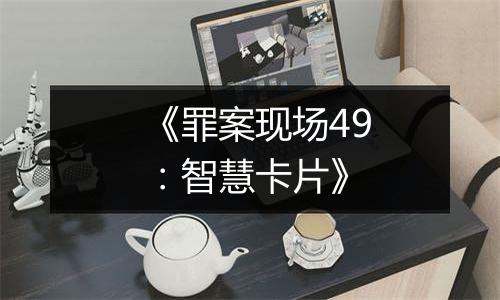 《罪案现场49：智慧卡片》