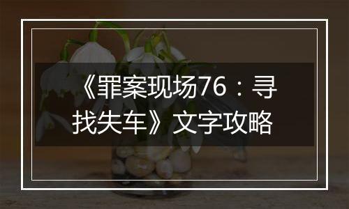 《罪案现场76：寻找失车》文字攻略