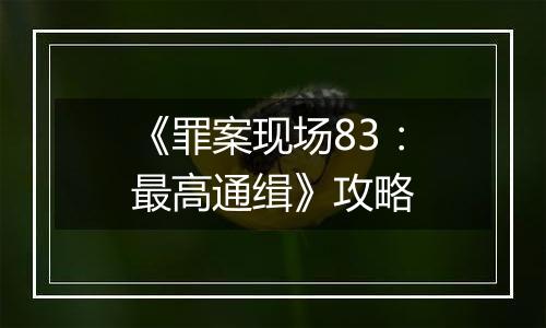《罪案现场83：最高通缉》攻略
