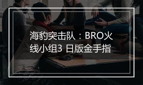 海豹突击队：BRO火线小组3 日版金手指