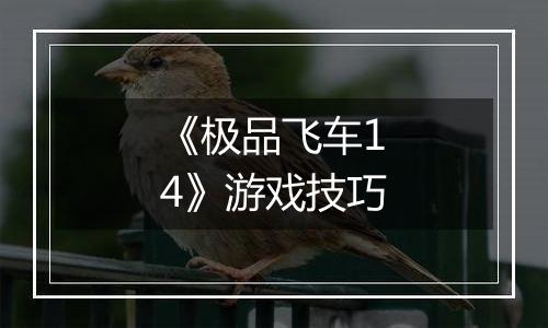 《极品飞车14》游戏技巧