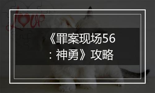 《罪案现场56：神勇》攻略