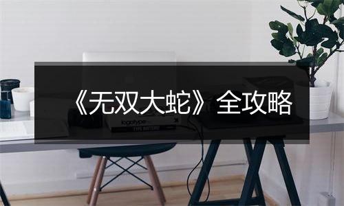 《无双大蛇》全攻略