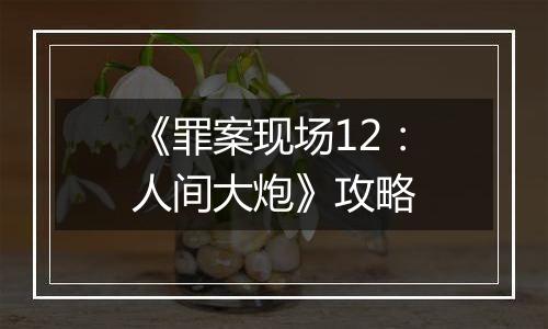 《罪案现场12：人间大炮》攻略