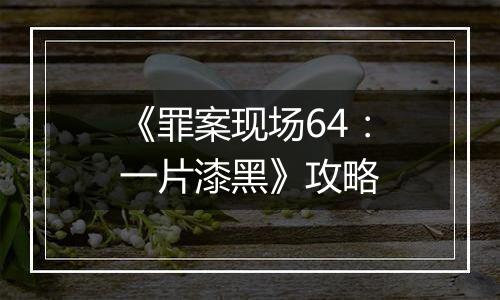 《罪案现场64：一片漆黑》攻略