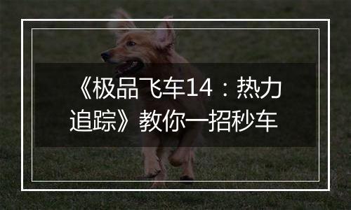 《极品飞车14：热力追踪》教你一招秒车