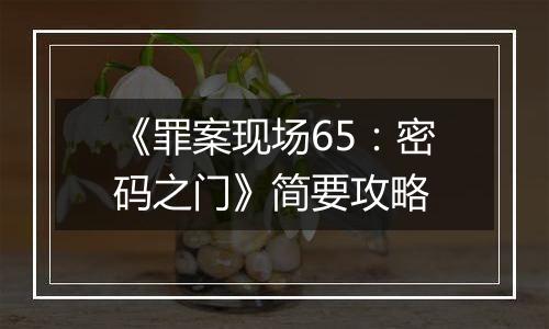 《罪案现场65：密码之门》简要攻略