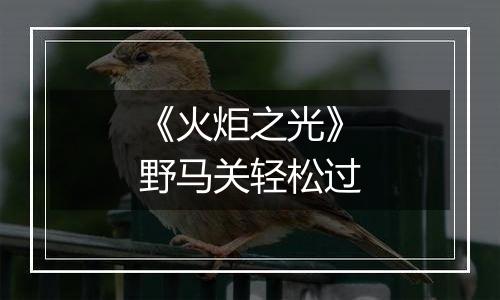 《火炬之光》野马关轻松过