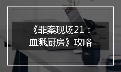 《罪案现场21：血溅厨房》攻略