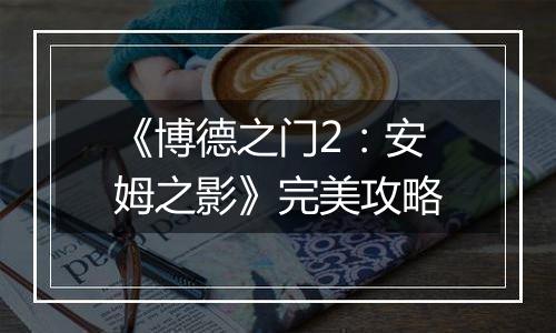 《博德之门2：安姆之影》完美攻略