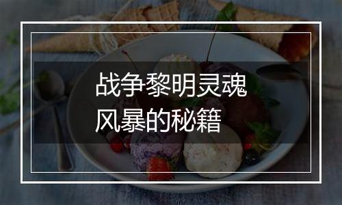 战争黎明灵魂风暴的秘籍