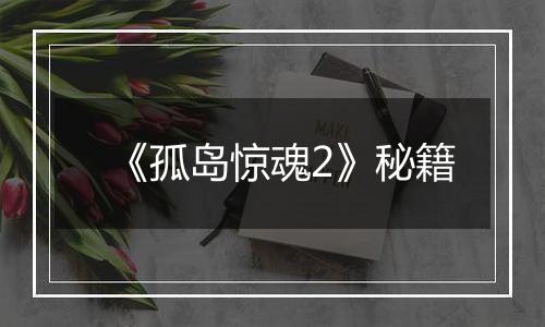 《孤岛惊魂2》秘籍