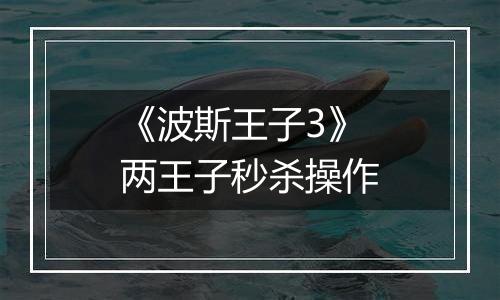 《波斯王子3》两王子秒杀操作