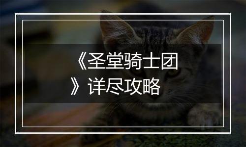 《圣堂骑士团》详尽攻略