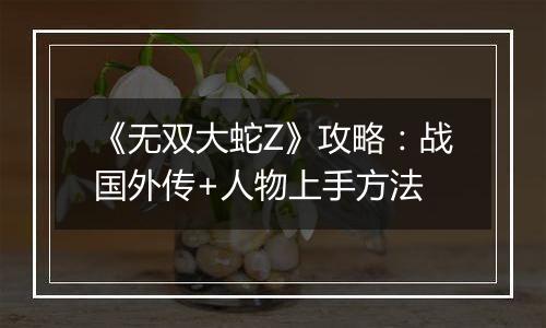 《无双大蛇Z》攻略：战国外传+人物上手方法