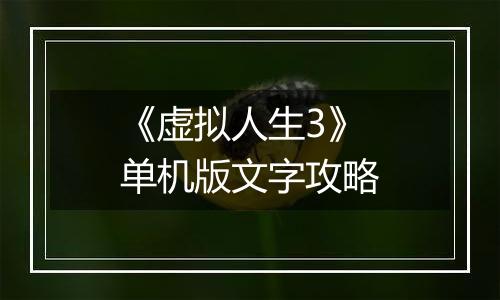 《虚拟人生3》单机版文字攻略