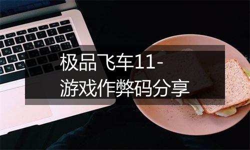 极品飞车11-游戏作弊码分享