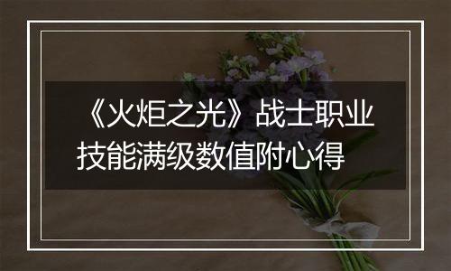 《火炬之光》战士职业技能满级数值附心得