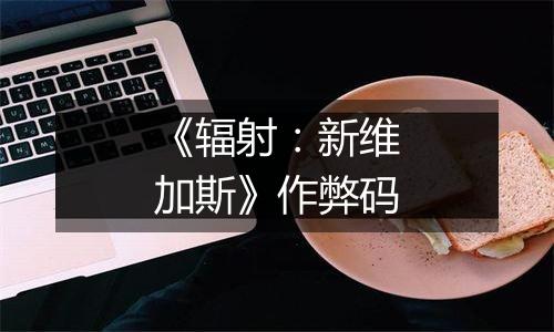 《辐射：新维加斯》作弊码