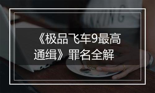 《极品飞车9最高通缉》罪名全解