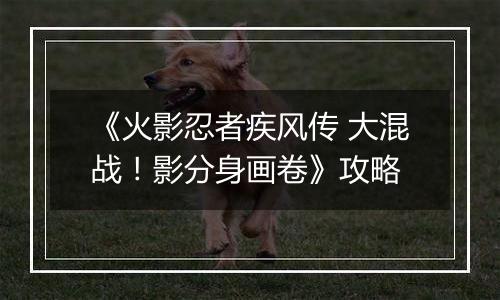 《火影忍者疾风传 大混战！影分身画卷》攻略