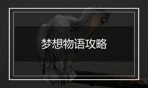 梦想物语攻略