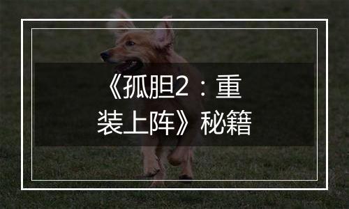 《孤胆2：重装上阵》秘籍