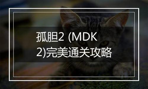 孤胆2 (MDK2)完美通关攻略