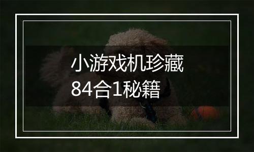 小游戏机珍藏84合1秘籍