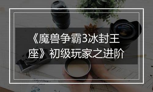 《魔兽争霸3冰封王座》初级玩家之进阶