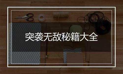 突袭无敌秘籍大全