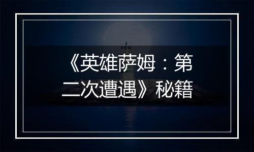 《英雄萨姆：第二次遭遇》秘籍