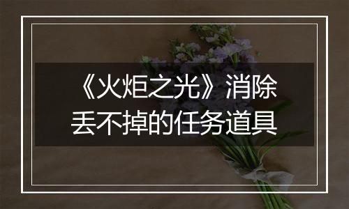 《火炬之光》消除丢不掉的任务道具