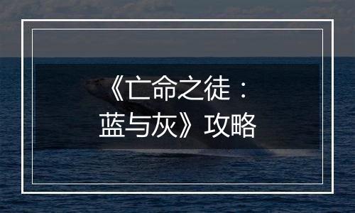 《亡命之徒：蓝与灰》攻略