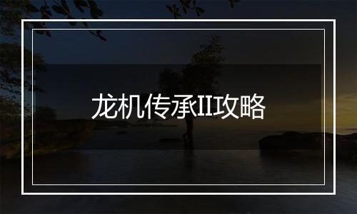 龙机传承II攻略