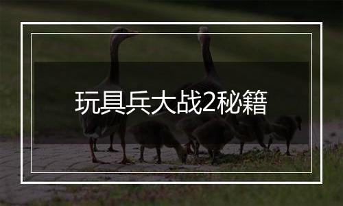 玩具兵大战2秘籍