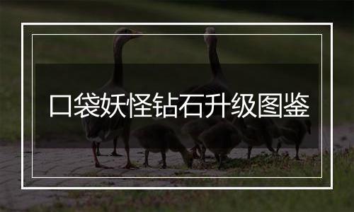 口袋妖怪钻石升级图鉴