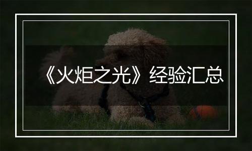 《火炬之光》经验汇总