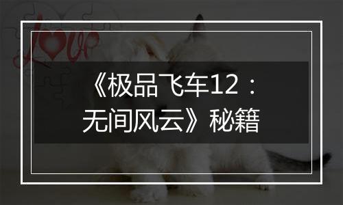 《极品飞车12：无间风云》秘籍