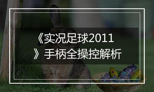 《实况足球2011》手柄全操控解析