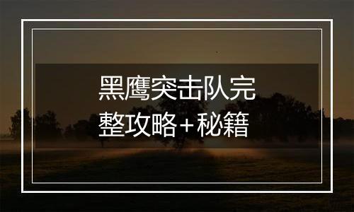 黑鹰突击队完整攻略+秘籍