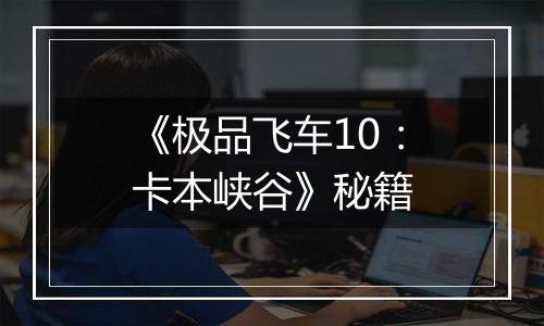 《极品飞车10：卡本峡谷》秘籍