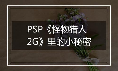 PSP《怪物猎人2G》里的小秘密