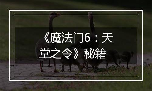 《魔法门6：天堂之令》秘籍