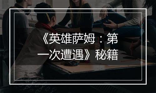 《英雄萨姆：第一次遭遇》秘籍