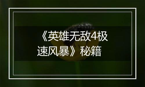 《英雄无敌4极速风暴》秘籍