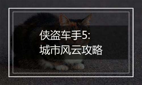 侠盗车手5:城市风云攻略