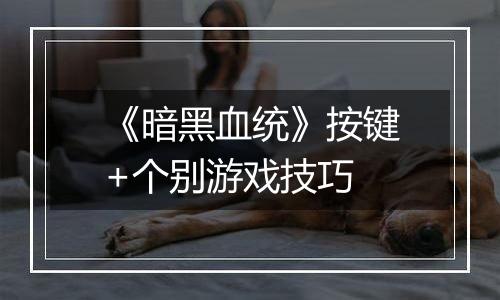 《暗黑血统》按键+个别游戏技巧