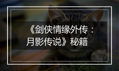 《剑侠情缘外传：月影传说》秘籍