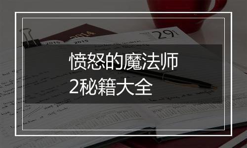 愤怒的魔法师2秘籍大全